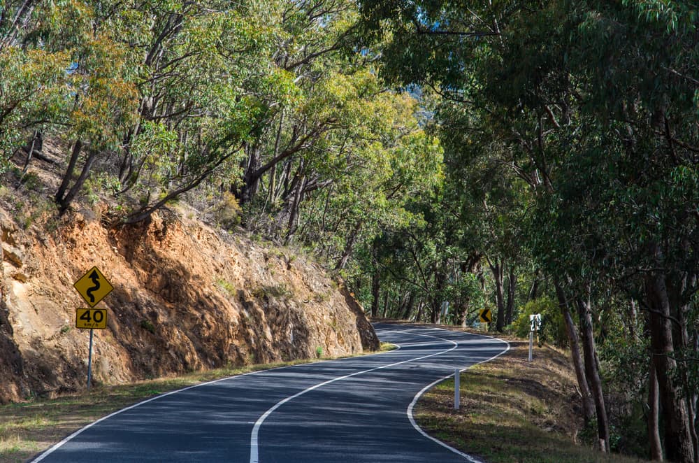 Father's Day gifts: Winding forest road taking a drive